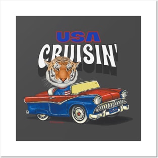 Cute and funny Tiger cruising the USA in an adorable classic car Posters and Art
